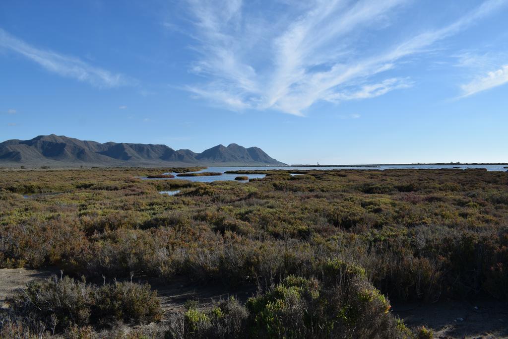 Cortijo La Molina De Cabo De Gata ξενώνας Εξωτερικό φωτογραφία