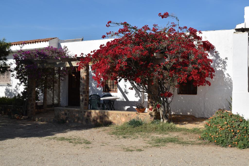 Cortijo La Molina De Cabo De Gata ξενώνας Εξωτερικό φωτογραφία